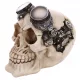  Steampunk-Schädel mit Brille