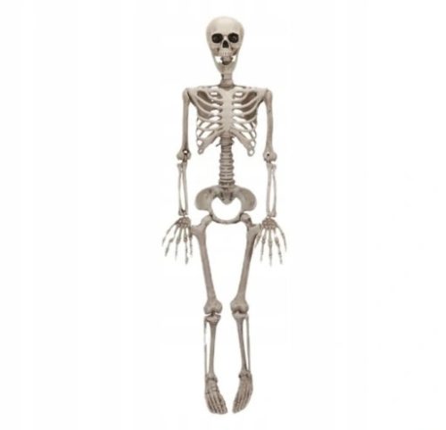  SKELETOR DEKORATION SKELETT HALLOWEEN 90 CM