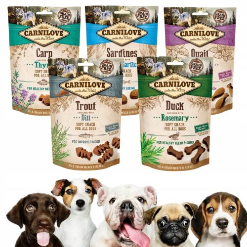  Carnilove Trainingskekse Karpfen mit Thymian 200 g