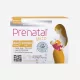 Prenatal Lakto: Premium Nahrungsergänzungsmittel für stillende Mütter