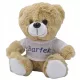 TEDDYBÄR-STICKEREI, PERSONALISIERTES GESCHENK