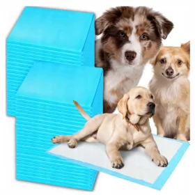  Asato Saugeinlagen und Matten 50 Stk.