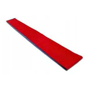  Akson-Animationsband