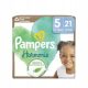  PAMPERS Harmonie Baby 5 Windeln (21 Stk.)