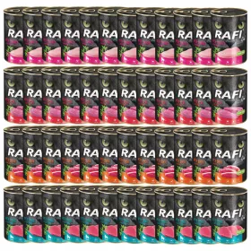    RAFI CAT Nassfutter für Katzen Dolina Noteci, Geschmacksmischung 48 x 400g