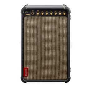  Positive Grid Spark Live Gitarrenverstärker