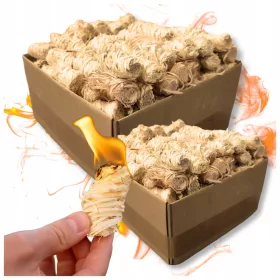    Kaminanzünder, Grillanzünder, Ofenanzünder, ökologisch, natürlich, Premium, 4KG