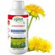 DICOTEX 202 SL 500ML - Hochwirksames Unkrautbekämpfungsmittel für Rasenflächen