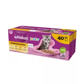    WHISKAS JUNIOR POULTRY FEST MIT GESCHMACKSMISCHUNG IN GELEE FÜR KÄTZCHEN 40x85g