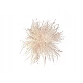    Brosche mit Marabufedern, elegante Verzierung, korallenfarbene Anstecknadel