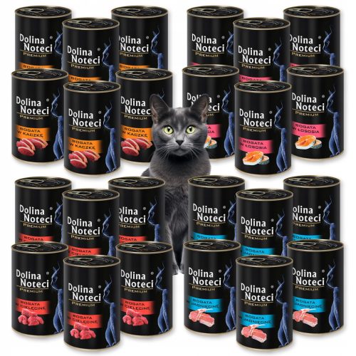  DOLINA NOTECI Premium Katzenfutter Lachs 400g