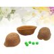  TOYANDONA Ein magisches Trickset mit drei Muscheln