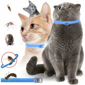    Katzenhalsband gegen Zecken und Flöhe, IM DUNKEL LEUCHTEND, 8 Monate Wirkungsdauer.