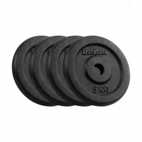    Gusseisen-Gewichtsset 4x5kg 20kg Loch 31mm Platte klassisch REBEL