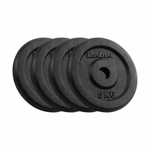  Gusseisen-Gewichtsset 4x5kg 20kg Loch 31mm Platte klassisch REBEL