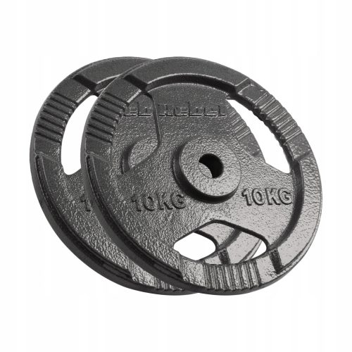  Gusseisengewichtsset 2x10kg 20kg Loch 31mm Platte mit Griffen REBEL