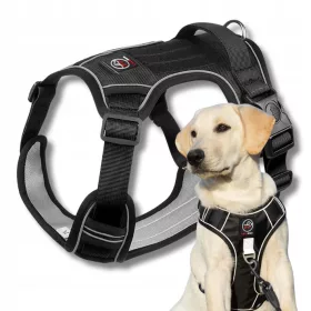    STARKES SCHUTZGESCHIRR für einen großen BOSTON XL BLACK Schäferhund