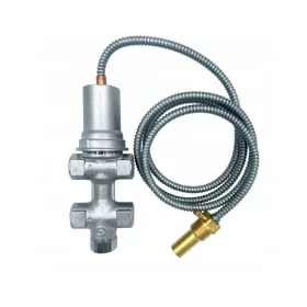  Caleffi-Ventil 544400