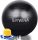  REHABILITATIONS-GYMNASTIKBALL AEROBIC FITNESS 65CM + PUMPE 65cm