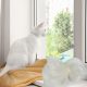  SCHUTZNETZ SICHERHEIT FÜR KATZEN CAT BALKON FENSTER TÜR TERRASSE 5x5m