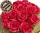  GROSSER Seifenstrauß mit 18 ROSEN Duftende Seifenrosen anstelle von lebenden Blumen