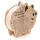 Gezeichnetes Sparschwein Sparschwein Challenge Ziel plus Widmung Geschenk Geschenk