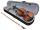  VIRTUOSO ANTIQUE 4/4 VIOLINE NACH PRÜFUNG DURCH EINEN Geigenbauer + KOSTENLOS