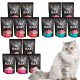  Rafi Cat Nassfutter, Geschmacksmischung, 6 kg