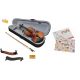  4/4 VIRTUOSE ANTIKE VIOLINE NACH INSPEKTION DURCH EINEN Geigenbauer + RIB + GRATIS