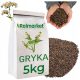  Buchweizen für Deckfrucht 5 kg Grünfutter, wohlriechende Samen, Material