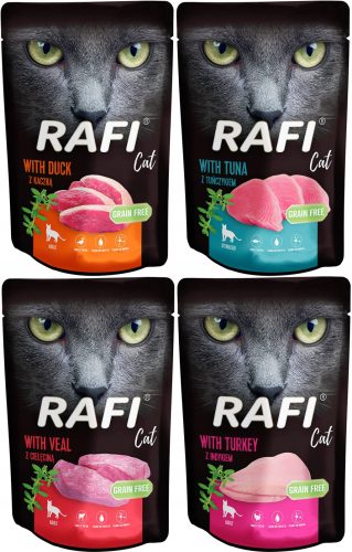  Dolina Noteci Rafi Cat 20x100g Geschmacksmischung im Beutel