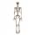 SKELETOR DEKORATION SKELETT HALLOWEEN 90 CM