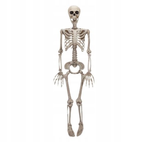 SKELETOR DEKORATION SKELETT HALLOWEEN 90 CM