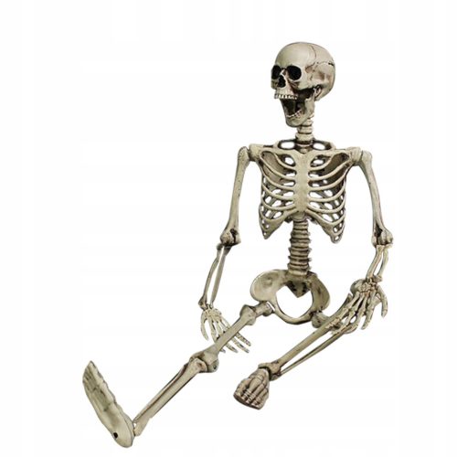  Halloween-Dekoration menschliches Skelett