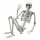 MENSCHLICHES SKELETT AUS HALLOWEEN-KNOCHEN 170CM