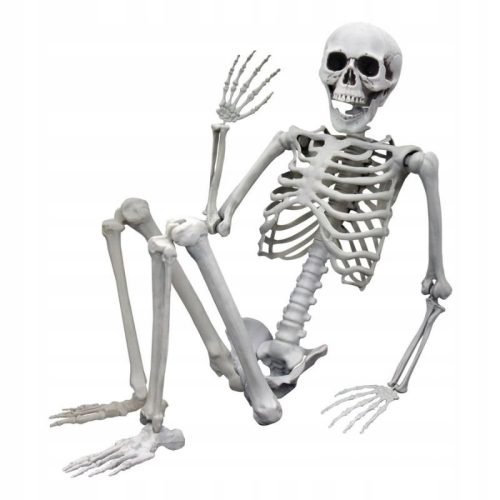 MENSCHLICHES SKELETT AUS HALLOWEEN-KNOCHEN 170CM