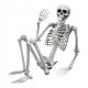 MENSCHLICHES SKELETT AUS HALLOWEEN-KNOCHEN 170CM