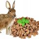  PETMEX Kaninchenfleisch-Trainer 500g