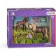  SCHLEICH HORSE CLUB 42363 REITER MIT ISLANDPONYS Pferdeset