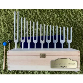  Satz Solfeggio-Stimmgabeln