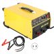  2 in 1 E-Starthilfe