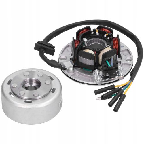  Elektrische Zündspule mit Magneto-Stator für Motorräder