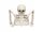  Halloween-Dekoration mit begrabenem Skelett