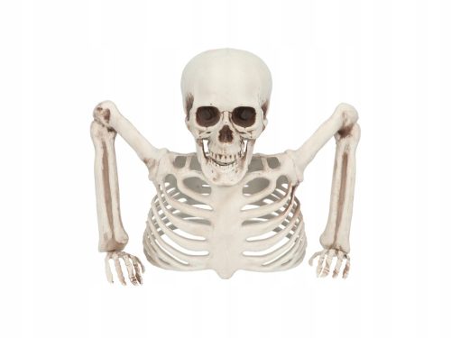  Halloween-Dekoration mit begrabenem Skelett