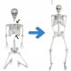 170 cm großes menschliches Skelett, Skelett, Totenkopf, Halloween-Dekoration