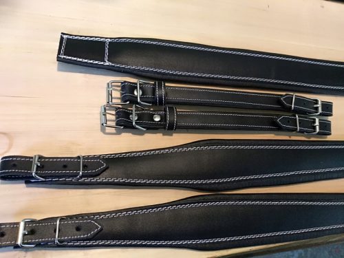  Riemen Ledergürtel für Akkordeon-Set mit Bass