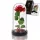  EWIGE ROSE AUS LED-GLAS, GLITZERNDES GESCHENK ZUM MUTTERTAG, FRAUENTAG FÜR DIE MUTTER
