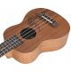  Sopran-UKULELE MIX54 + SET MIT 10 ZUBEHÖRTEILEN