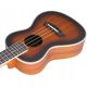  QBT Konzert-Ukulele