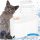  Automatischer Trinkbrunnen für Katzen und Hunde, Schüssel, leiser Trinker + Filter